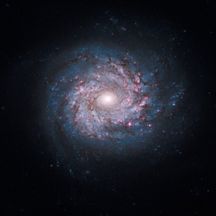 NGC-3982 (Herschel 197) 