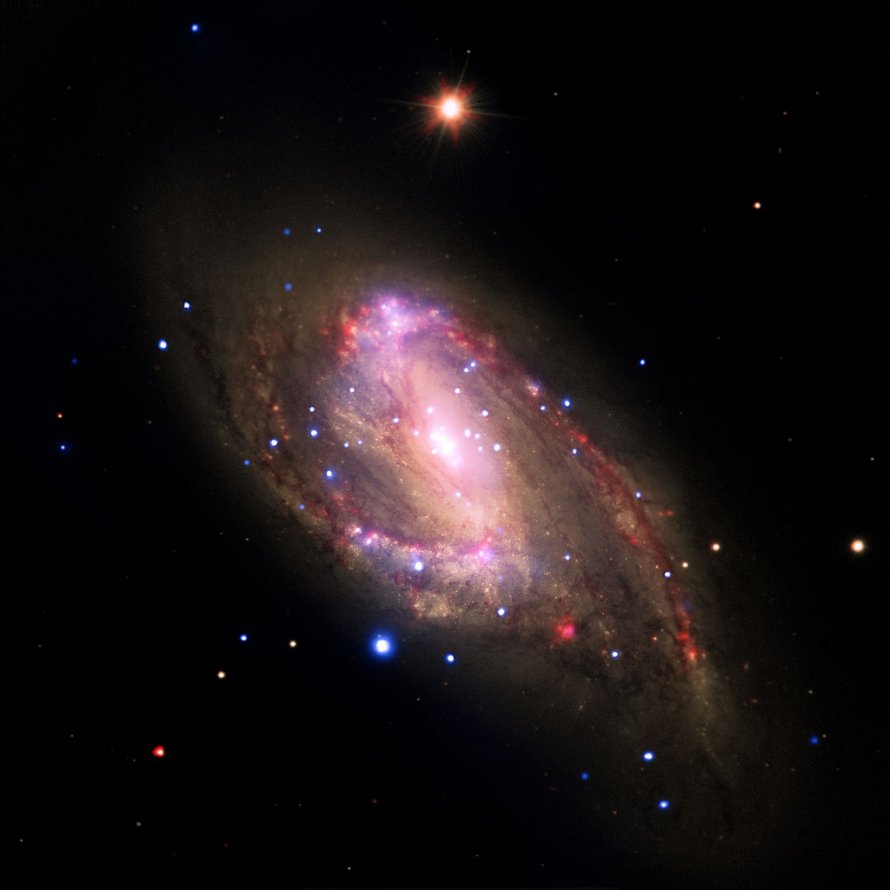 Messier 66 Leo Triplet
