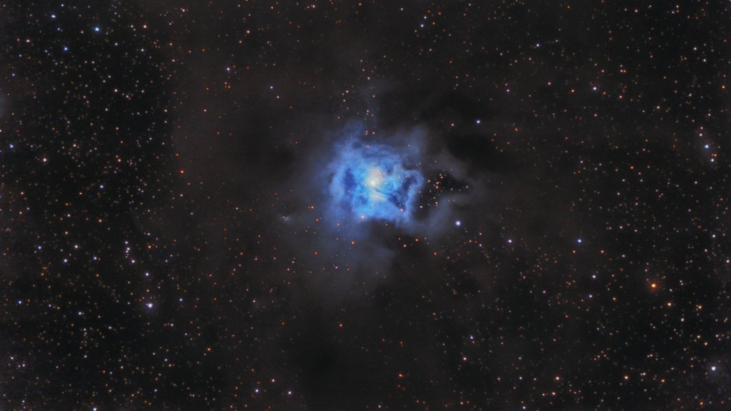 Caldwell 4 Iris Nebula