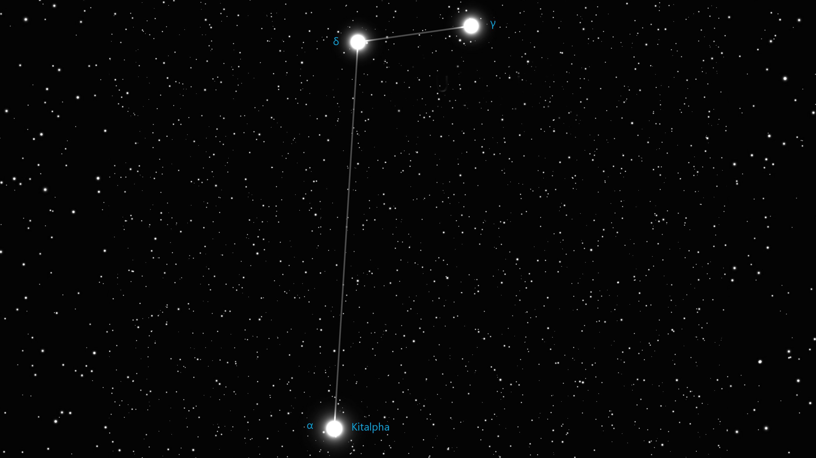 Constellation Equuleus the Pony Star Map