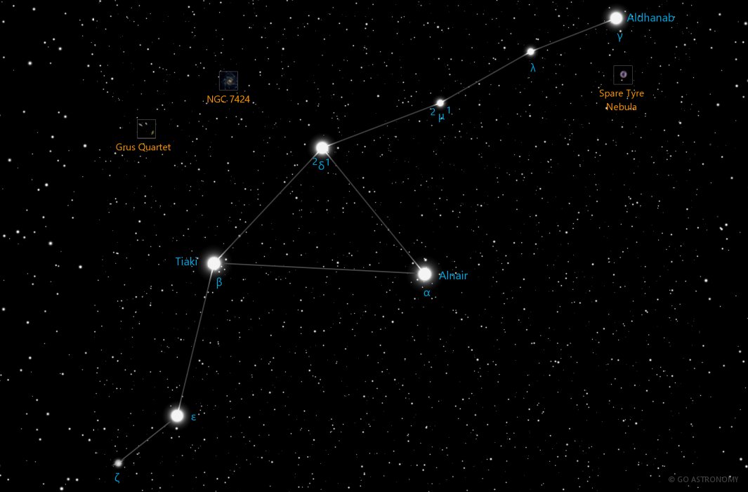 Constellation Grus the Crane Star Map