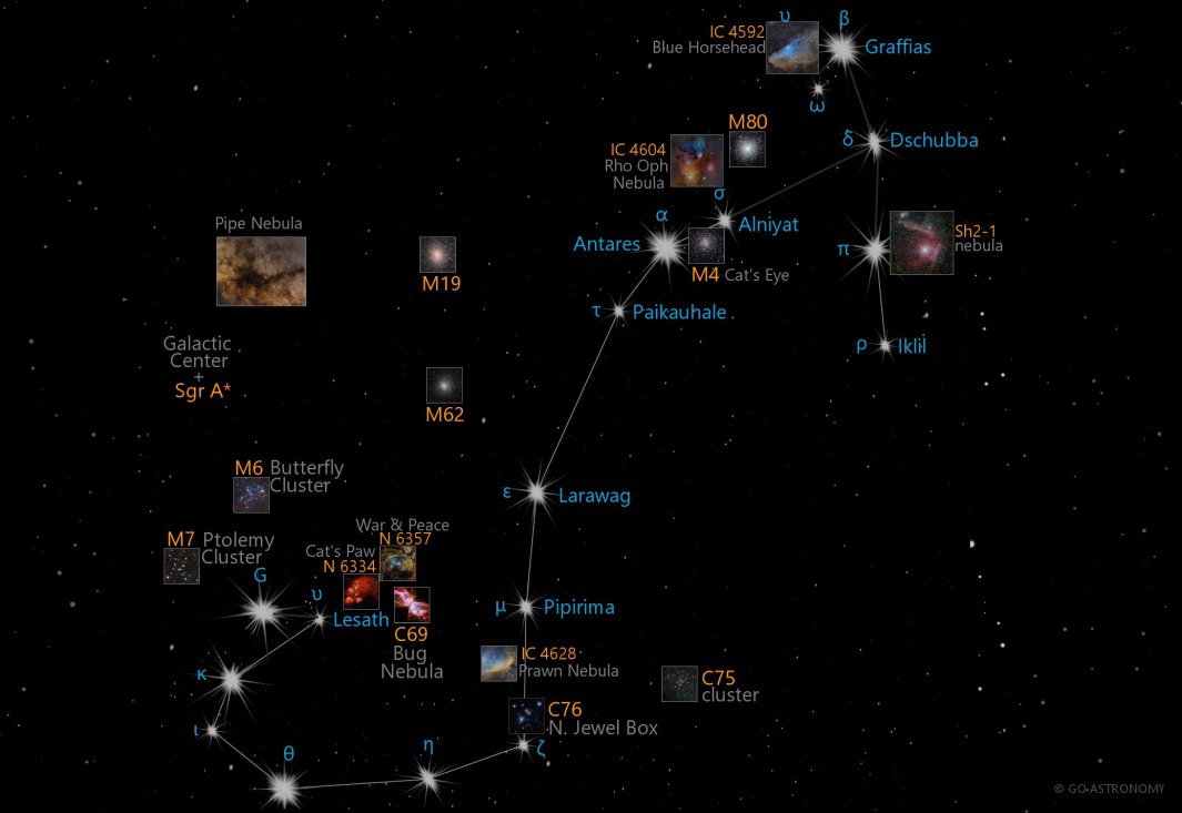 Constellation Scorpius the Scorpion Star Map