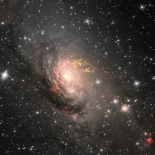 Circinus Galaxy 