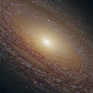 NGC-2841 (Herschel 128) 