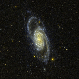 NGC-2903 (Herschel 130) 