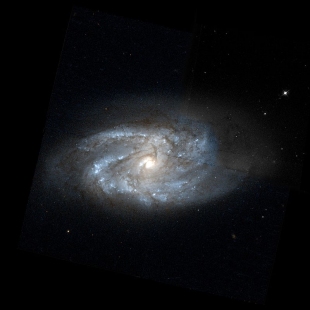 NGC-2964 (Herschel 132) 