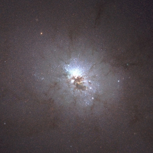 NGC-3077 (Herschel 137) 