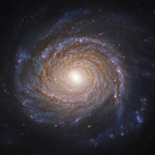 NGC-3147 (Herschel 140) 