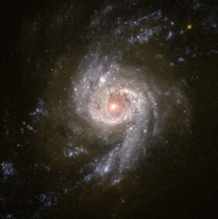 NGC-3310 (Herschel 153) 