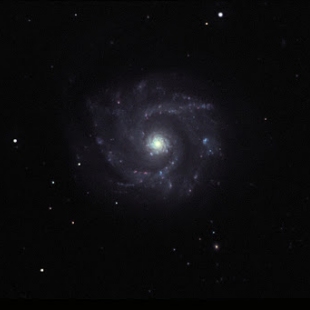 NGC-3631 (Herschel 176) 
