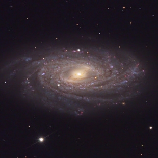 NGC-3953 (Herschel 195) 