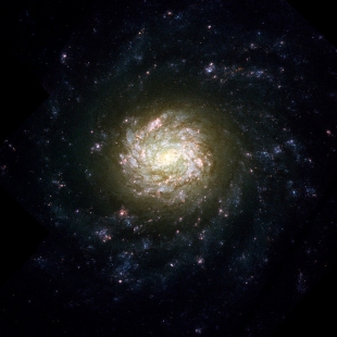 NGC-4041 (Herschel 205) 