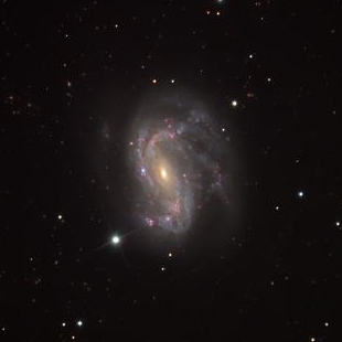 NGC-4051 (Herschel 206) 