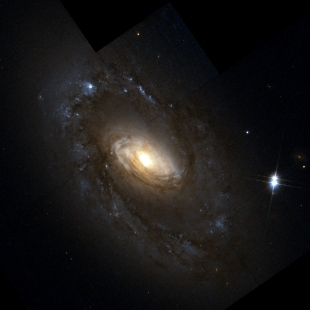 NGC-4102 (Herschel 209) 