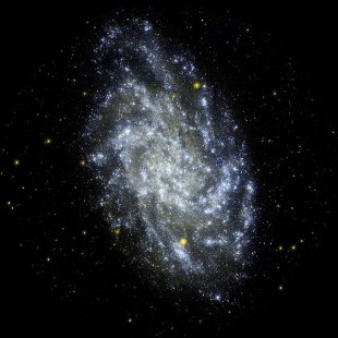 NGC-598 (Herschel 22) Triangulum Galaxy
