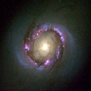 NGC-4314 (Herschel 229) 