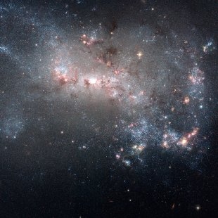NGC-4449 (Herschel 243) 
