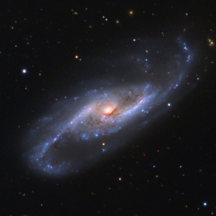 NGC-4536 (Herschel 255) 