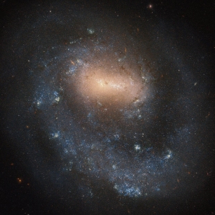 NGC-4618 (Herschel 264) 