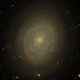 NGC-4689 (Herschel 273) 