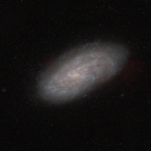 NGC-4781 (Herschel 281) 