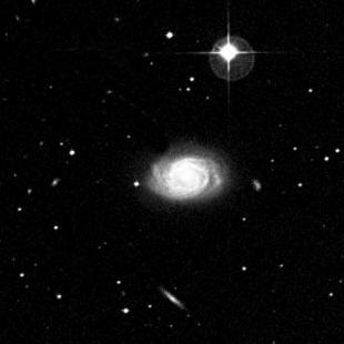 NGC-4995 (Herschel 288) 