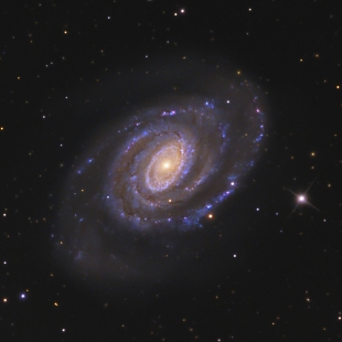 NGC-5364 (Herschel 297) 