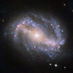 NGC-6217 (Herschel 319) 