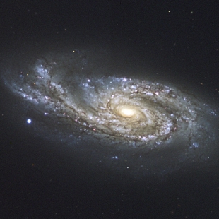 NGC-908 (Herschel 37) 
