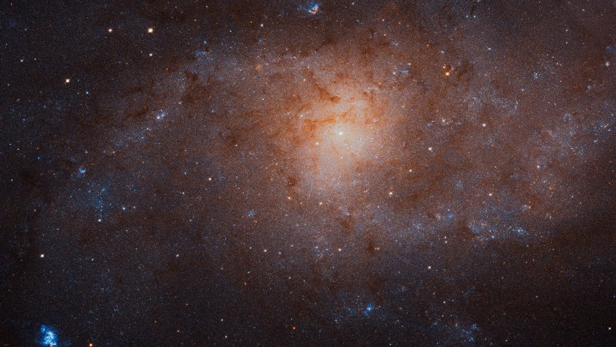 Messier 33 Triangulum Galaxy