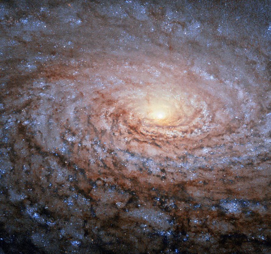 Messier 63 Sunflower Galaxy