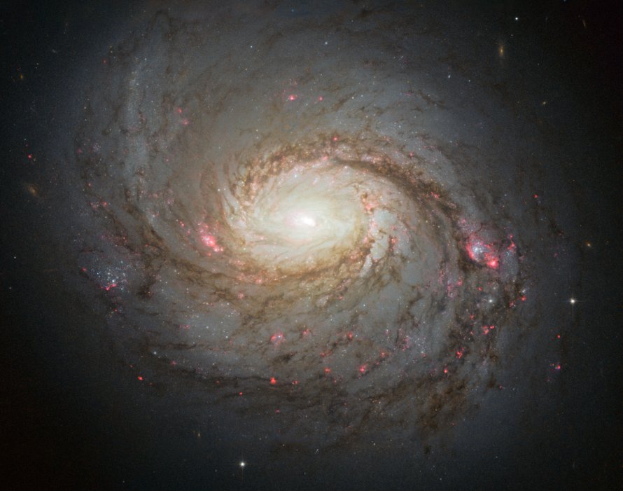 Messier 77 Cetus A