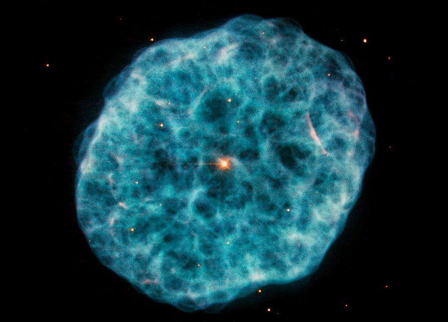 Oyster Nebula 