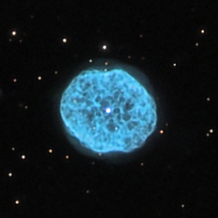 Oyster Nebula 