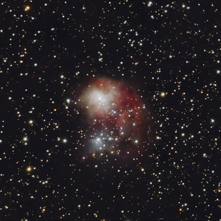 Fly Nebula
